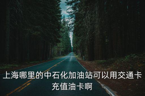 中國石化上海市充值網(wǎng)點，中國石化加油卡上海閔行有哪些充值點
