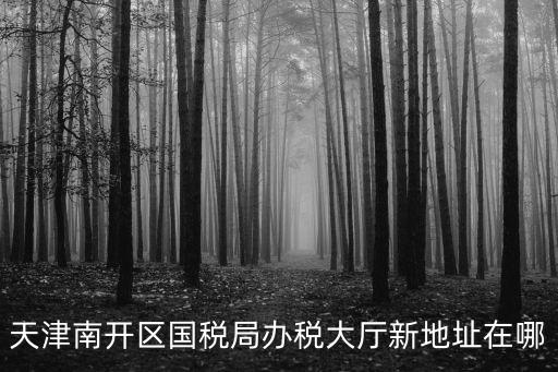 天津南開區國稅局辦稅大廳新地址在哪