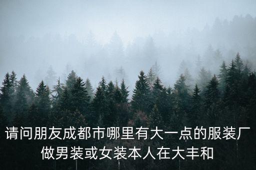 請問朋友成都市哪里有大一點的服裝廠做男裝或女裝本人在大豐和