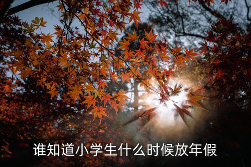 誰知道小學生什么時候放年假