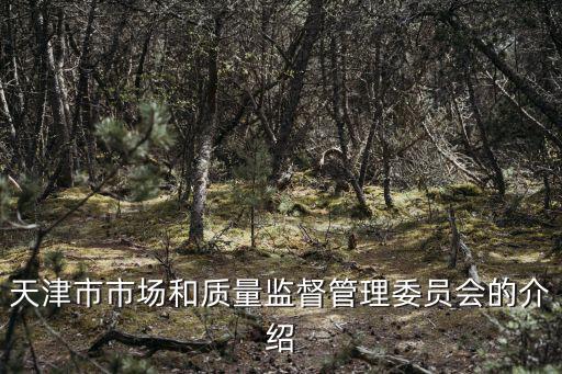 天津市市場和質量監(jiān)督管理委員會的介紹