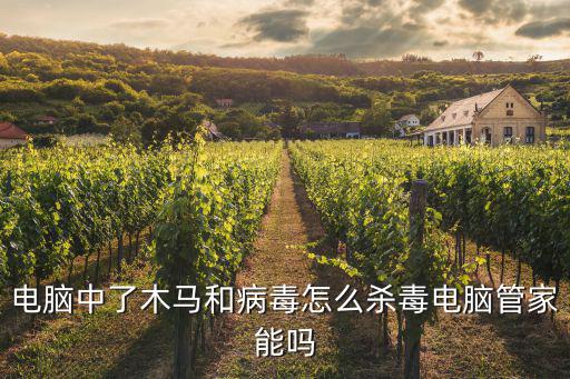 電腦中了木馬和病毒怎么殺毒電腦管家能嗎