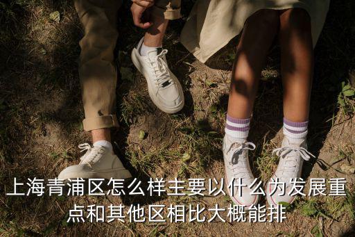 上海青浦高檔小區排名，青浦區在上海市區來說發達程度排名第幾