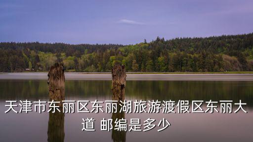 天津市東麗區(qū)東麗湖旅游渡假區(qū)東麗大道 郵編是多少