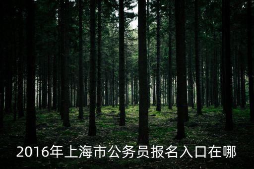 2016年上海市公務(wù)員報(bào)名入口在哪
