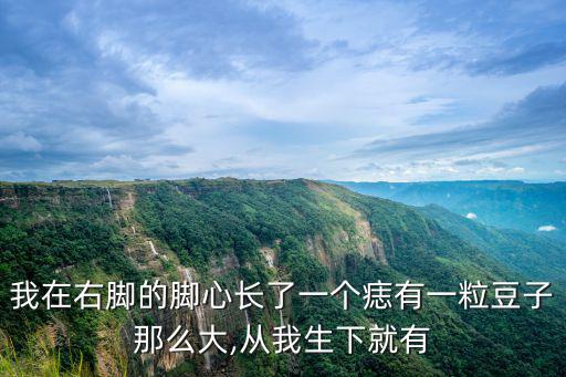 我在右腳的腳心長了一個痣有一粒豆子那么大,從我生下就有