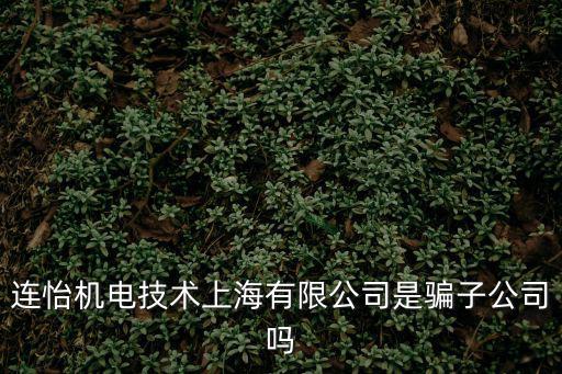 上海市北高新集團 潘研，上海添和國際商貿集團公司這間公司是騙人的嗎