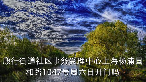 上海市楊浦區(qū)行政服務(wù)中心，上海市楊浦區(qū)交通違章處罰地chrainbowwtyask1