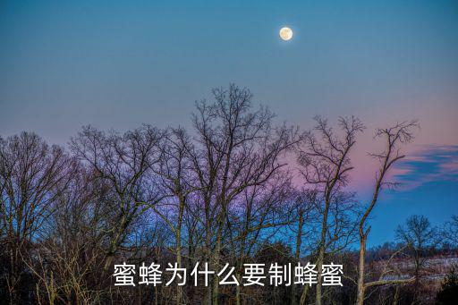蜜蜂為什么要制蜂蜜