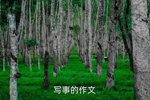 寫事的作文