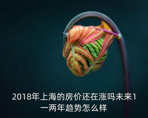 2018年上海的房價還在漲嗎未來1一兩年趨勢怎么樣