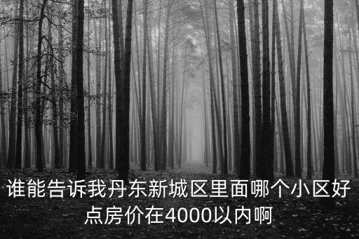 誰能告訴我丹東新城區里面哪個小區好點房價在4000以內啊
