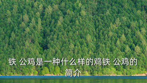 鐵 公雞是一種什么樣的雞鐵 公雞的簡介