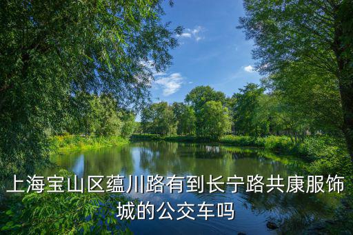 上海寶山區蘊川路有到長寧路共康服飾城的公交車嗎