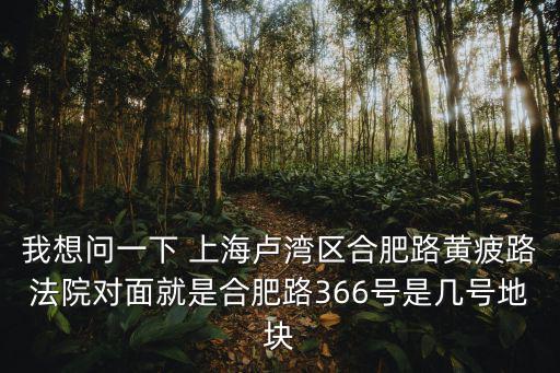 上海市盧灣區第40地塊，我想問一下 上海盧灣區合肥路黃疲路法院對面就是合肥路366號是幾號地塊
