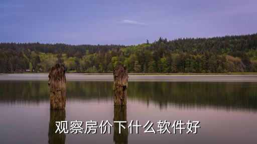 觀察房價下什么軟件好