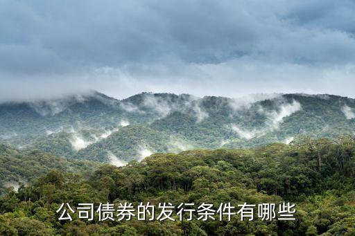公司債券的發行條件有哪些