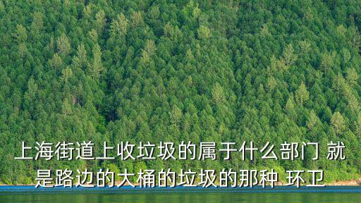 上海街道上收垃圾的屬于什么部門 就是路邊的大桶的垃圾的那種 環衛