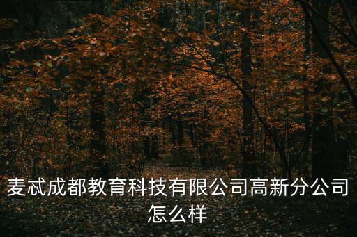 麥忒成都教育科技有限公司高新分公司怎么樣