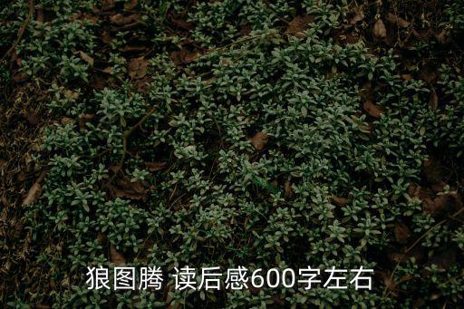 狼圖騰 讀后感600字左右