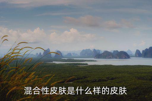 混合性皮膚是什么樣的皮膚