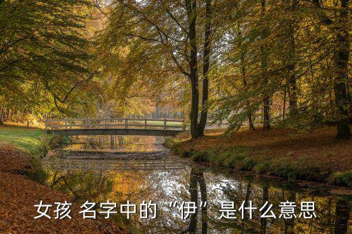 女孩 名字中的“伊”是什么意思