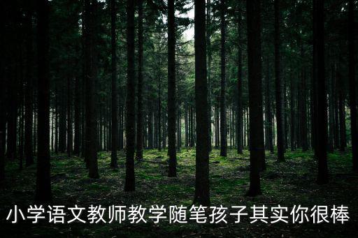 小學(xué)語文教師教學(xué)隨筆孩子其實(shí)你很棒