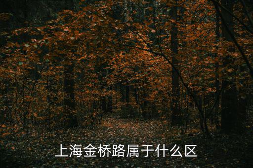 上海金橋路屬于什么區