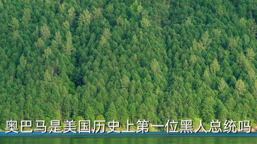 美國黑人總統,美國電影里第一位黑人總統