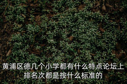 黃浦區德幾個小學都有什么特點論壇上排名次都是按什么標準的