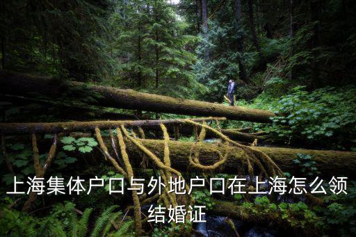 上海市集體戶口領證，外地人和上海集體戶口在上海領結婚證
