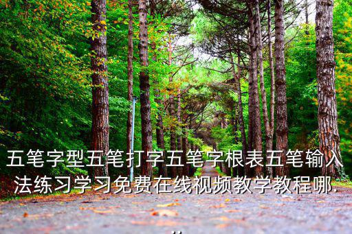 五筆在線打字練習(xí),五筆打字軟件有很多可在手機(jī)上練打字