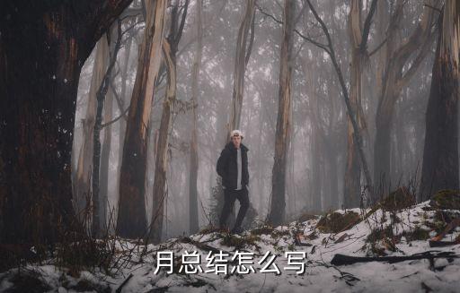 月總結(jié)報(bào)告，月總結(jié)怎么寫