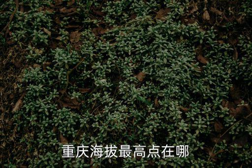 重慶海拔最高點(diǎn)在哪