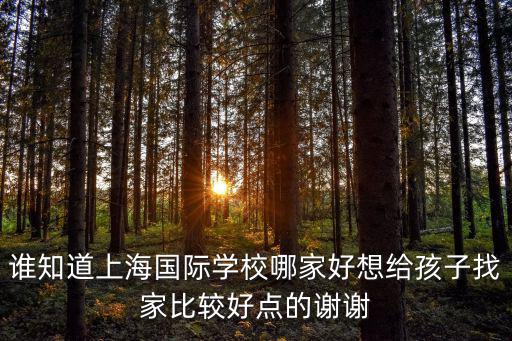 誰知道上海國際學校哪家好想給孩子找家比較好點的謝謝