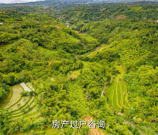 上海市寶山區共康路400弄二手房，房產過戶咨詢