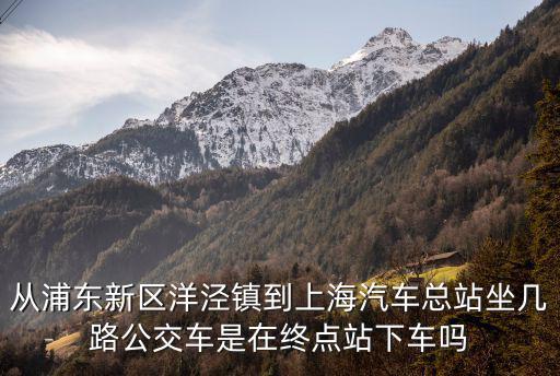 從浦東新區(qū)洋涇鎮(zhèn)到上海汽車總站坐幾路公交車是在終點(diǎn)站下車嗎