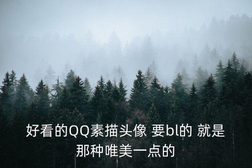 好看的QQ素描頭像 要bl的 就是那種唯美一點(diǎn)的
