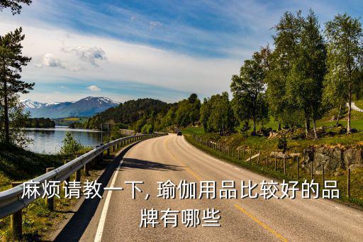 麻煩請教一下, 瑜伽用品比較好的品牌有哪些