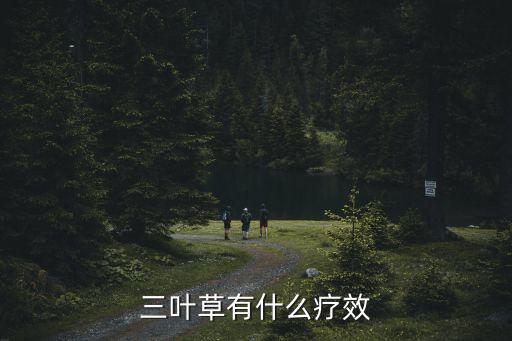 三葉草有什么療效