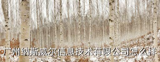 廣州納威爾斯信息技術有限公司，廣州納斯威爾信息技術有限公司怎么樣