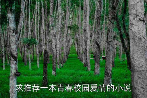 求推薦一本青春校園愛(ài)情的小說(shuō)