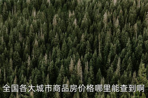 全國各大城市商品房價格哪里能查到啊