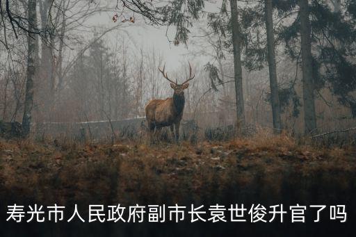壽光市人民政府副市長袁世俊升官了嗎