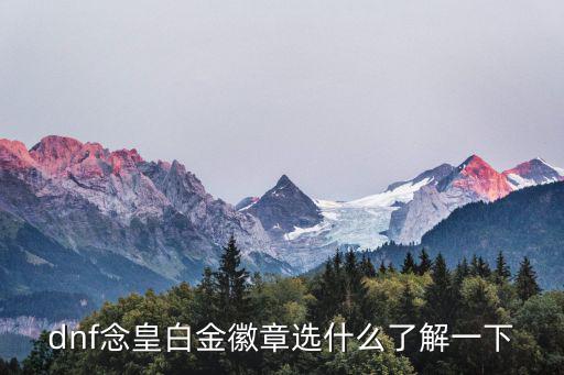 dnf念皇白金徽章選什么了解一下
