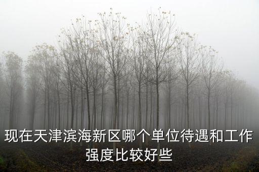 現在天津濱海新區哪個單位待遇和工作強度比較好些