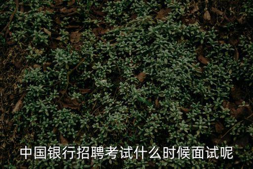 中國銀行招聘考試什么時候面試呢