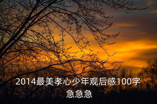 最美孝心少年觀后感，2014最美孝心少年觀后感100字 急急急