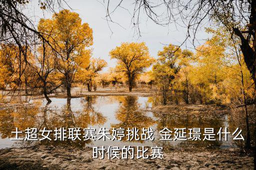 金延璟,韓國女排復興大旗再度高舉金延璟未出現