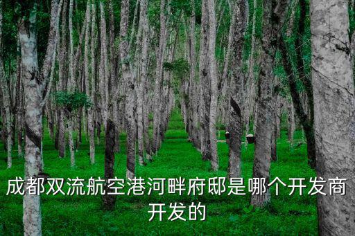 成都雙流航空港河畔府邸是哪個開發(fā)商開發(fā)的